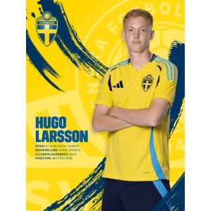 Poster 30x40cm Hugo Larsson