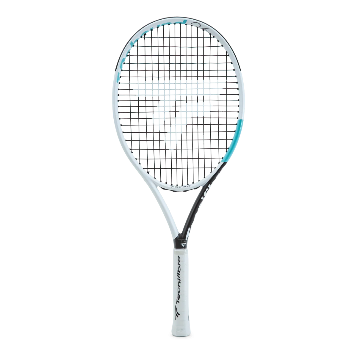 T-rebound Tempo 26