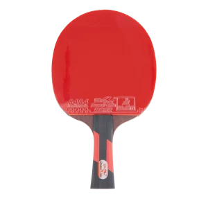 Ck-208 Tournament Table Tennis