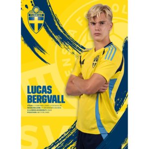 Poster 50x70cm Lucas Bergvall
