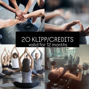 20 klipp/credits (giltighetstid 12 månader)