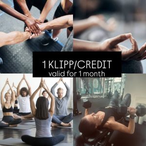 1 Klipp/Credit (giltighetstid 30 dagar)