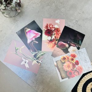 Växtkort 5-pack – fotograf Anna Ledin Wiren
