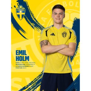Poster 30x40cm Emil Holm